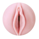 Fleshlight Pink Lady – Premium Real-Feel Masturbator for Men